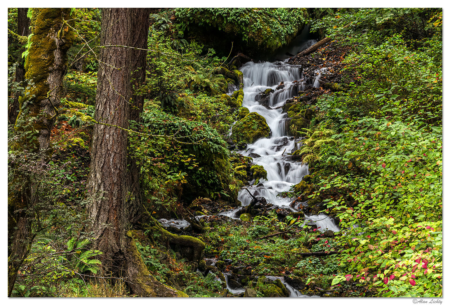 Wahkeena Falls