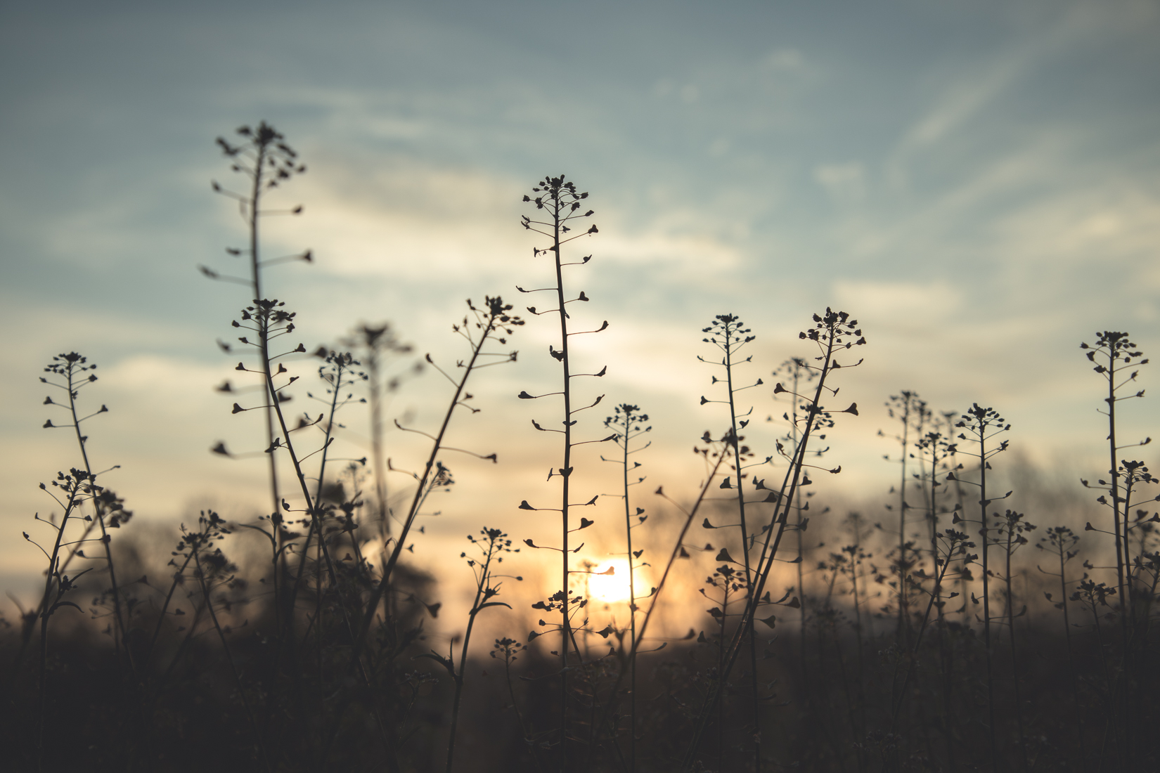 Watching the day unfold