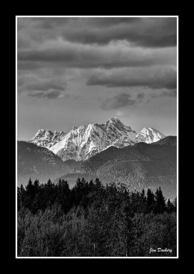 Whitehorse-bw