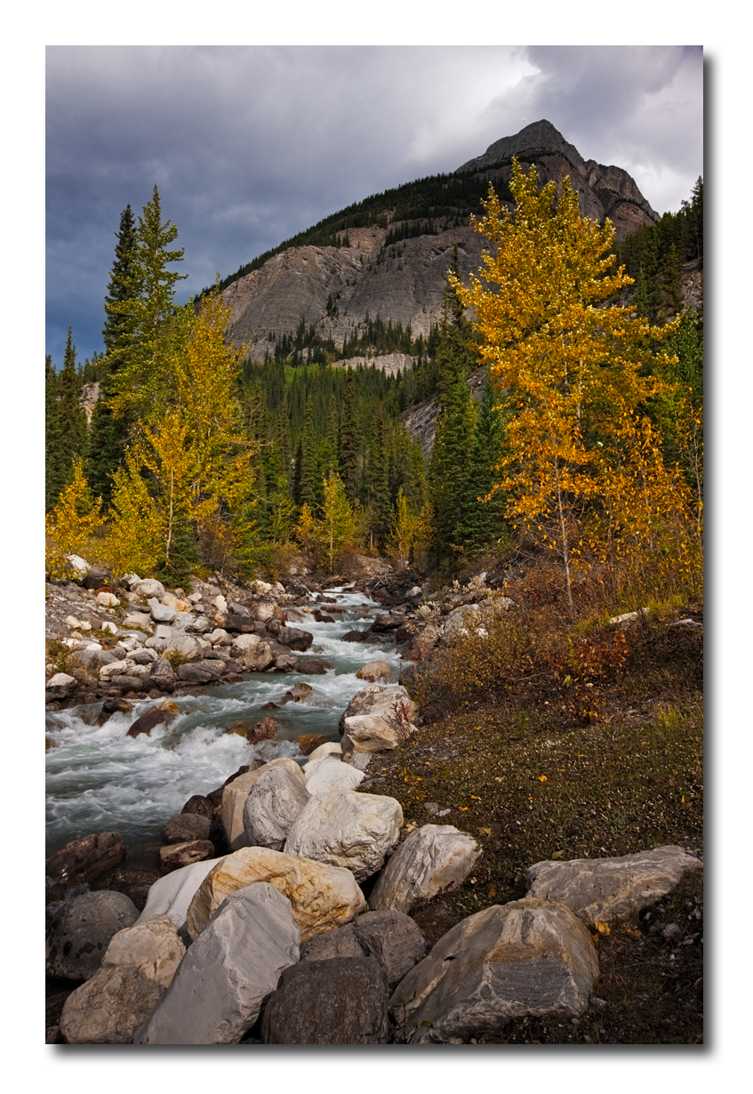 Wilcox Creek, Alberta