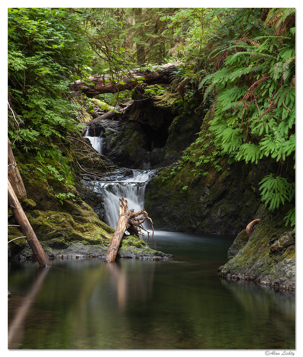 Willaby Creek Falls