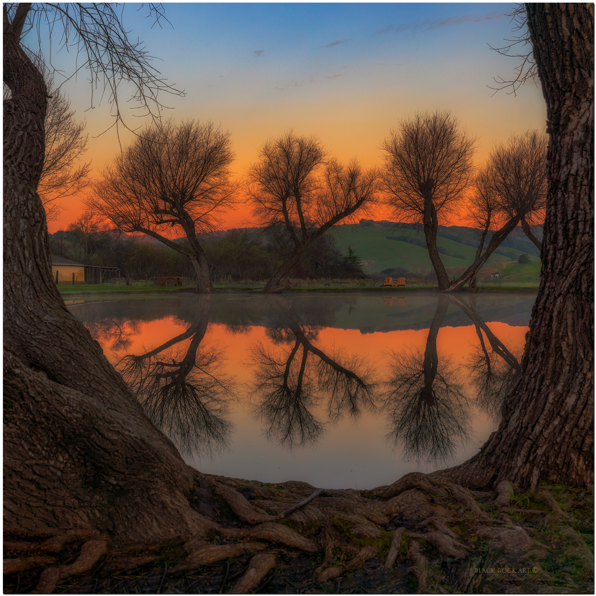 Willow Pond Pano