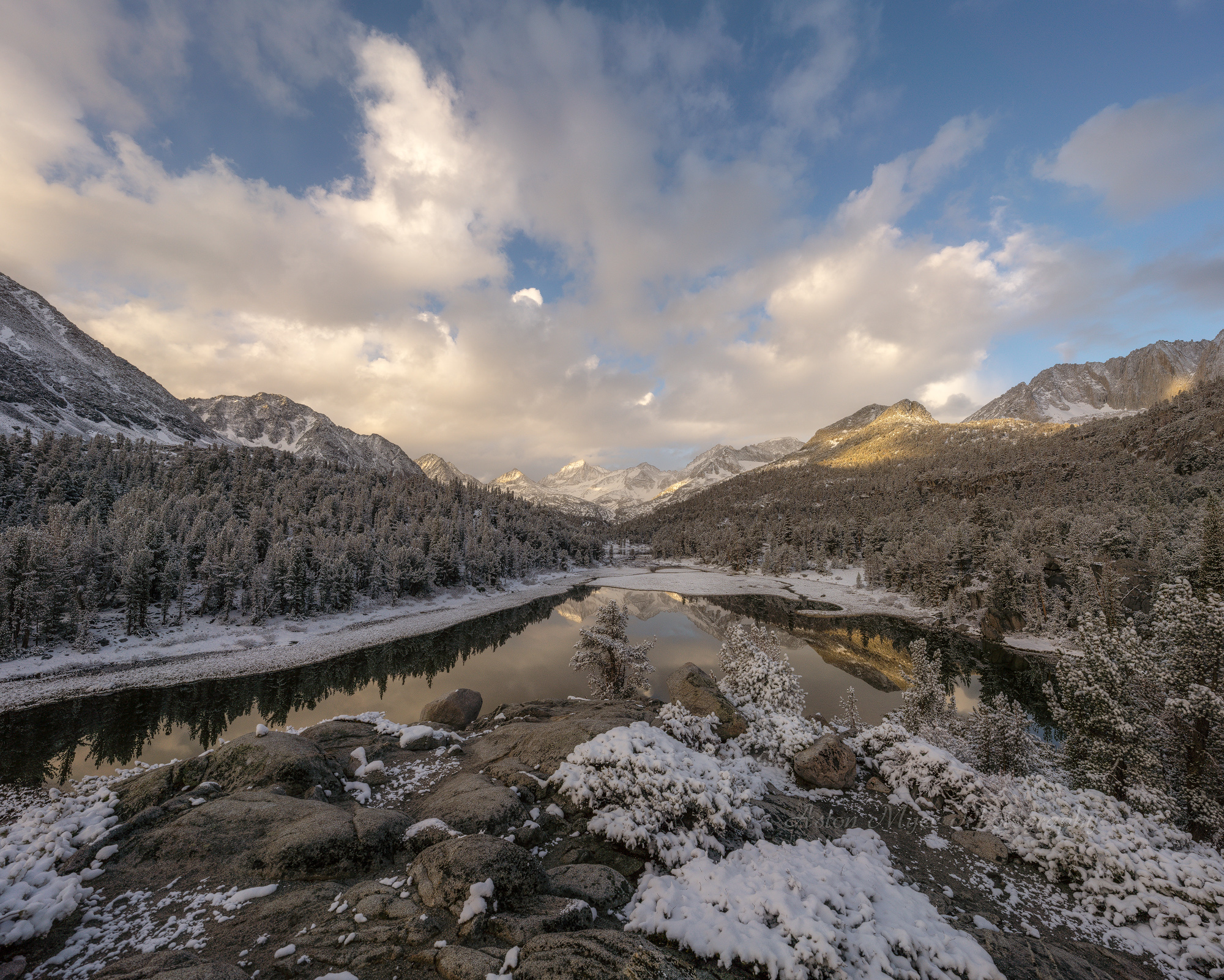 Winter Clearing Out.jpg