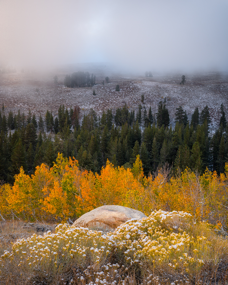 Winter Meets Autumn